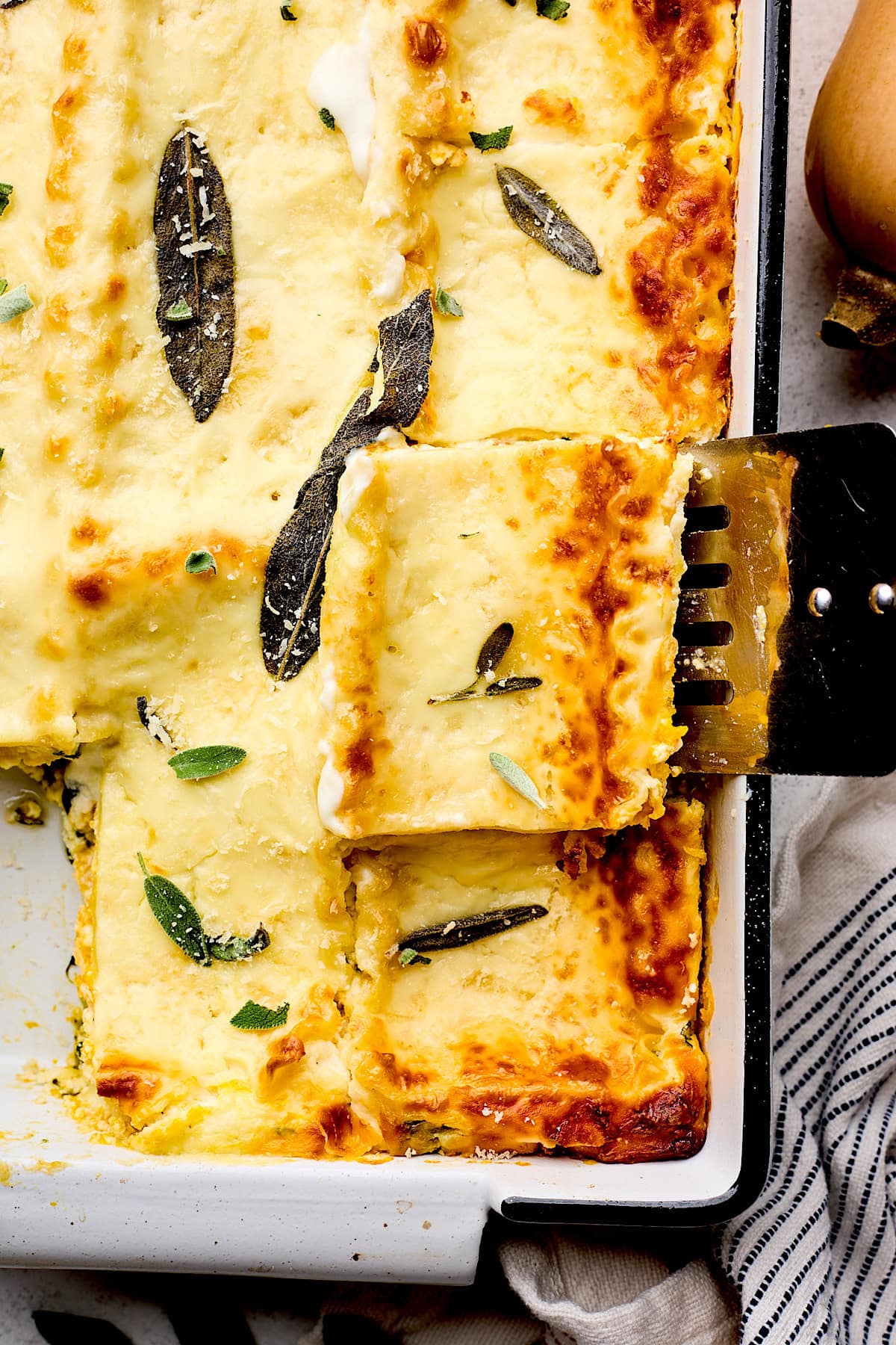 butternut squash lasagna - Article 3
